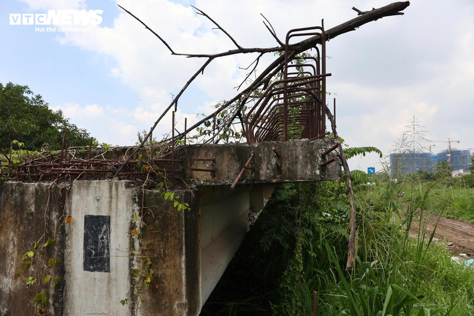 Cận cảnh gần 3 km Vành đai 2 TP.HCM trước ngày tái khởi công - Ảnh 5