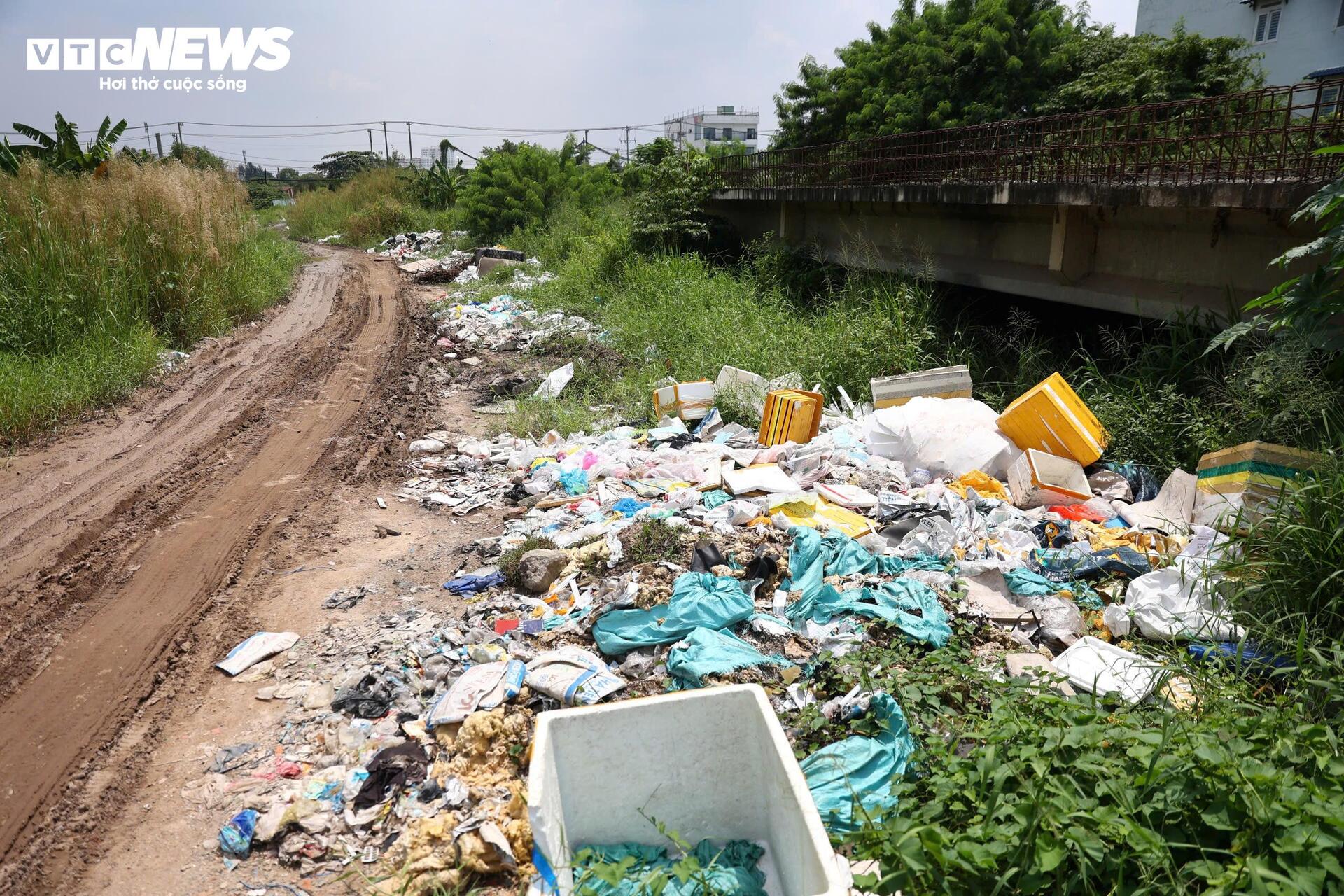 Cận cảnh gần 3 km Vành đai 2 TP.HCM trước ngày tái khởi công - Ảnh 8
