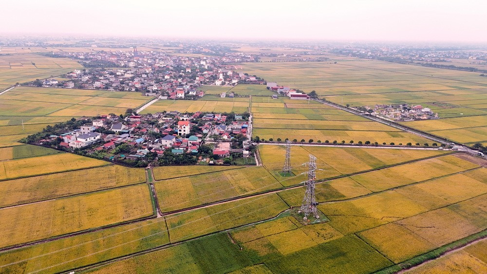 Hoàn thành thay thế cách điện đường dây 220kV mạch kép Thái Bình – Tiền Hải – Trực Ninh - Ảnh 1