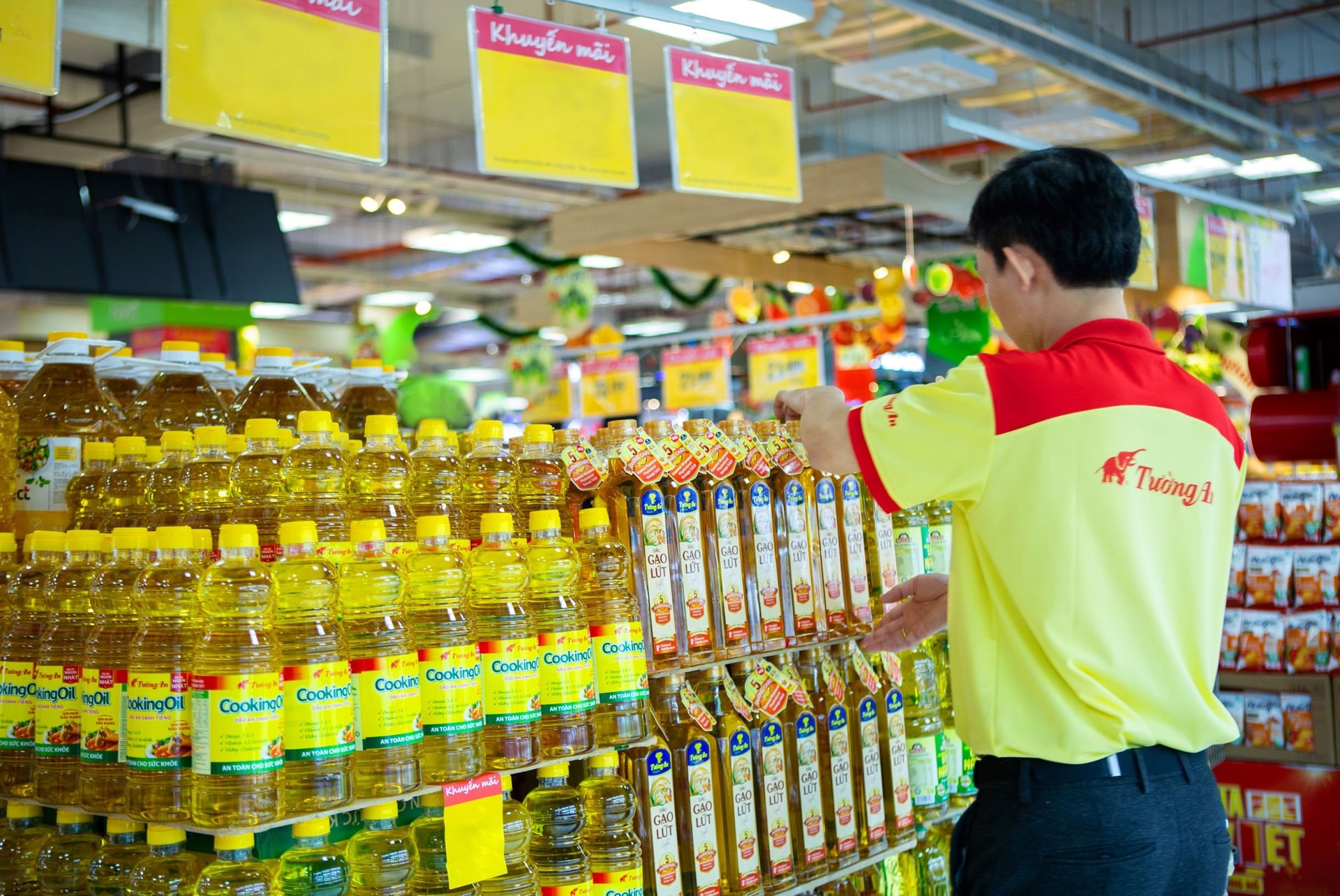 Vocarimex chuẩn bị rời sàn chứng khoán - Ảnh 1