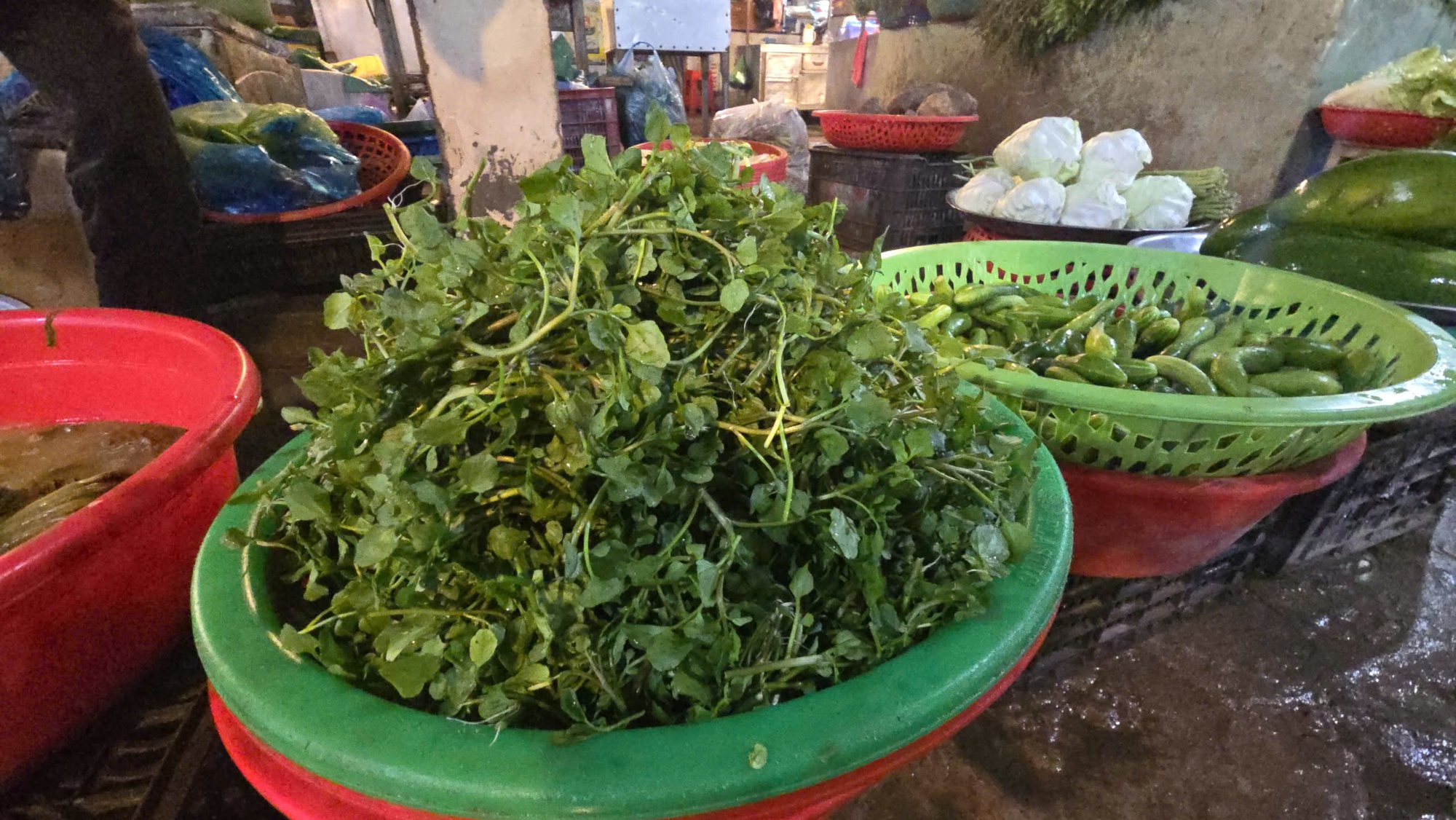 Giá nông thủy sản miền Tây: Rau xanh tăng giá vùn vụt - Ảnh 4