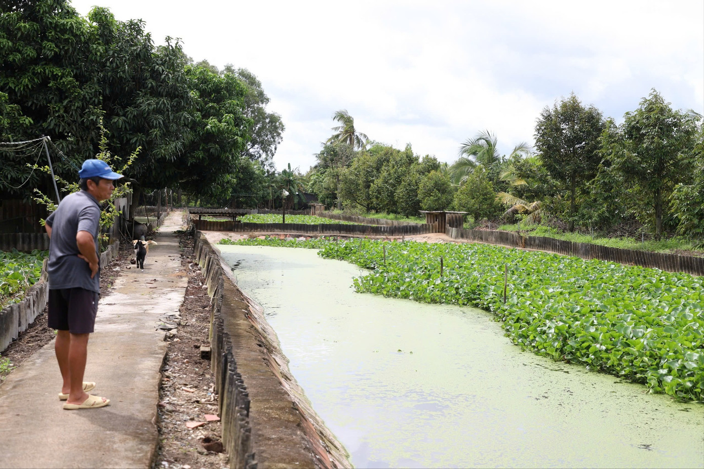Người nông dân ở Cần Thơ nuôi con gì mà trở thành xuất sắc nhất Việt Nam? - Ảnh 1