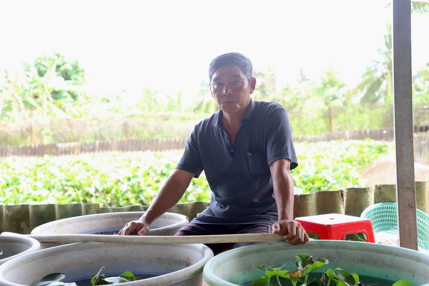 Người nông dân ở Cần Thơ nuôi con gì mà trở thành xuất sắc nhất Việt Nam? - Ảnh 2