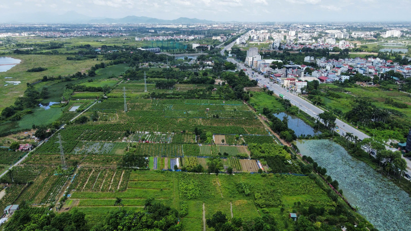 Đề xuất bỏ kế hoạch sử dụng đất 5 năm các thành phố trực thuộc Trung ương - Ảnh 1
