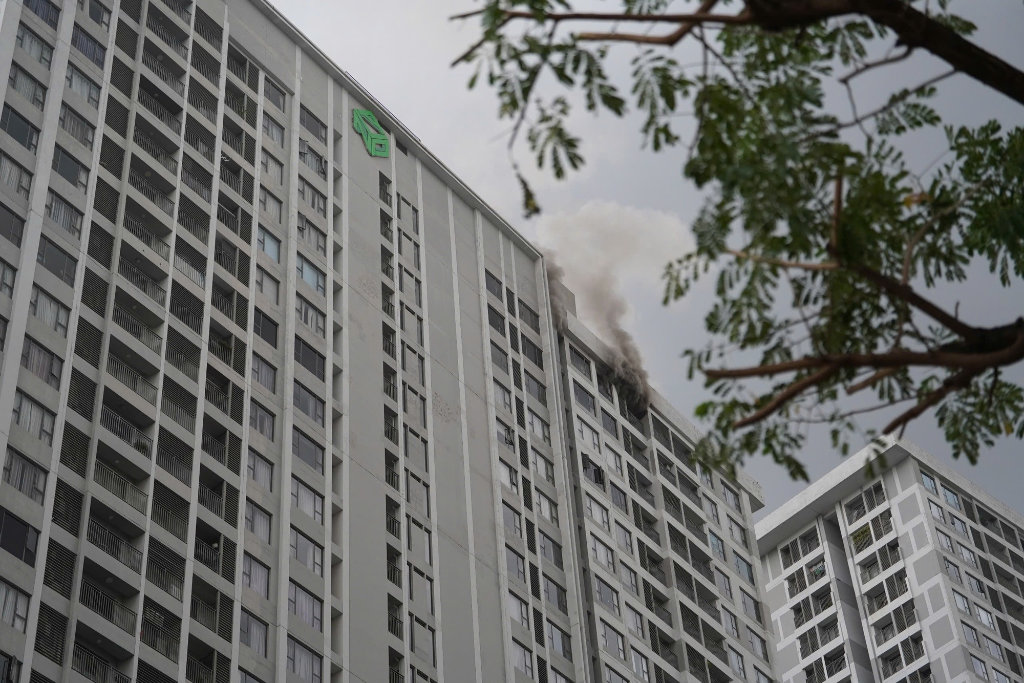 Thông tin mới vụ cháy chung cư River Gate Residence ở phường Khánh Hội - Ảnh 1