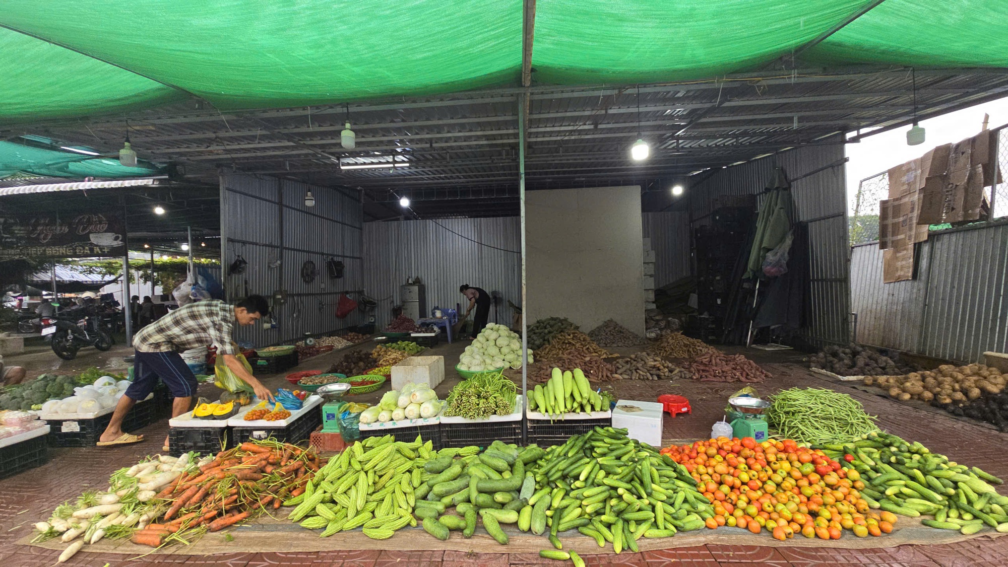 Giá nông thủy sản miền Tây: Rau xanh tăng giá vùn vụt - Ảnh 2