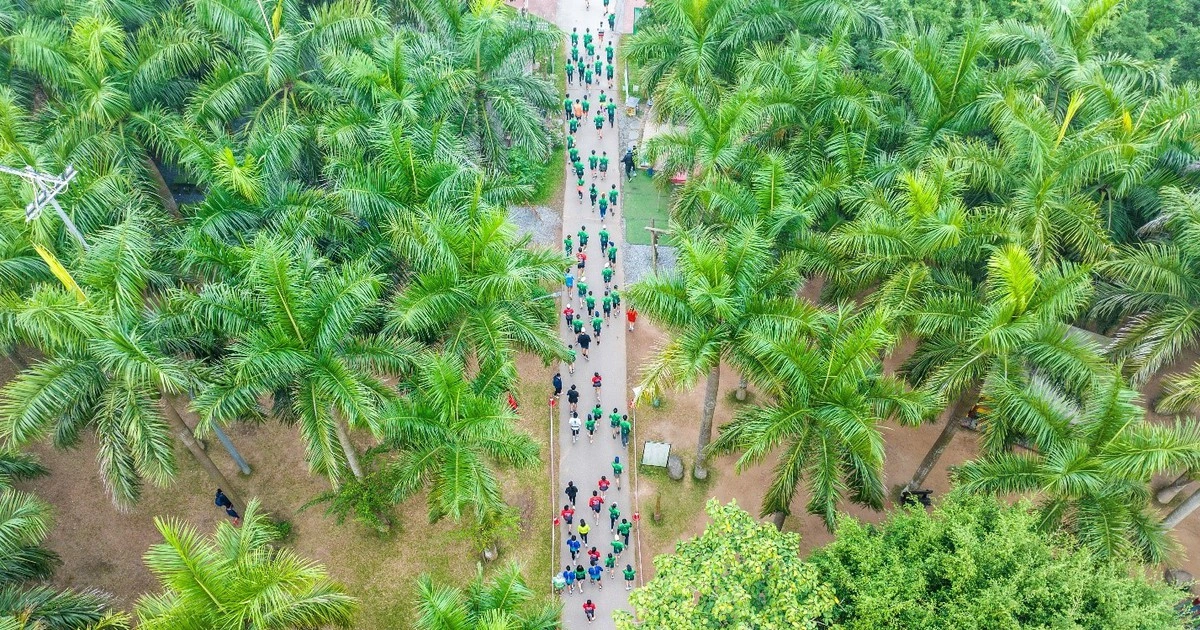 Đại đô thị xanh lớn hàng đầu Nghệ An khởi động giải chạy Eco Central Park Marathon