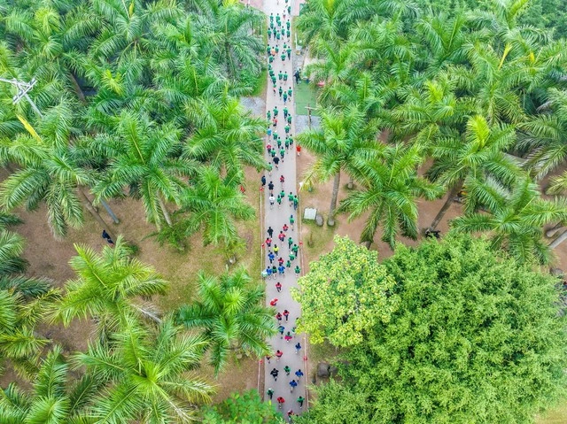 Đại đô thị xanh lớn hàng đầu Nghệ An khởi động giải chạy Eco Central Park Marathon - Ảnh 1