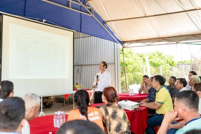 Phân Bón Cà Mau phát triển mô hình trình diễn giúp tăng năng suất cho cây lúa - Ảnh 1