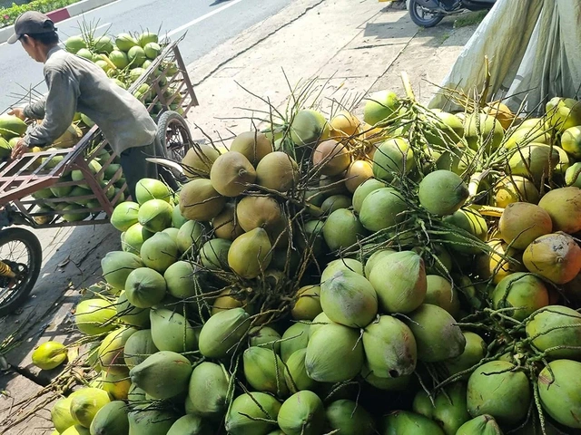 Xuất khẩu rau quả bứt tốc mãnh liệt - Ảnh 1