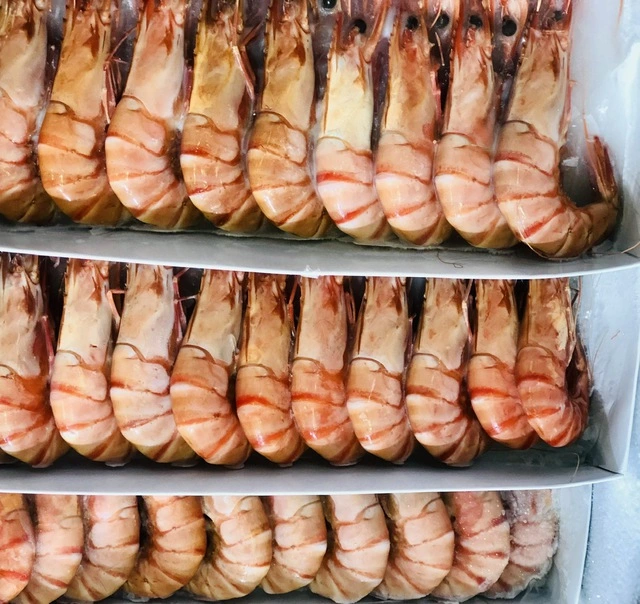 Tôm Indonesia nhiễm phóng xạ, tôm Việt có cơ hội bứt phá? - Ảnh 1