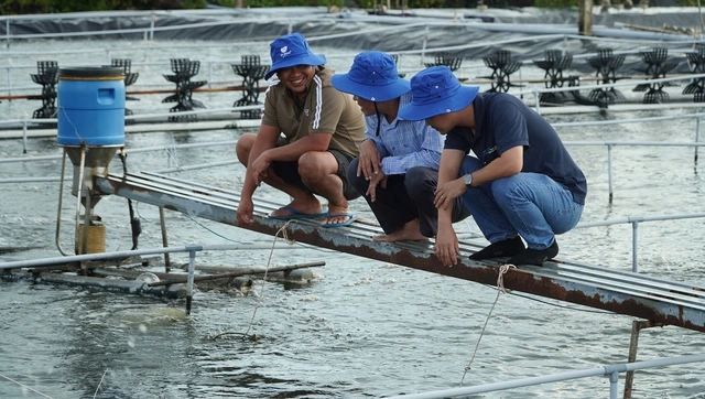 Cà Mau nhân rộng mô hình nuôi tôm tuần hoàn nước, không xả thải ra môi trường - Ảnh 2