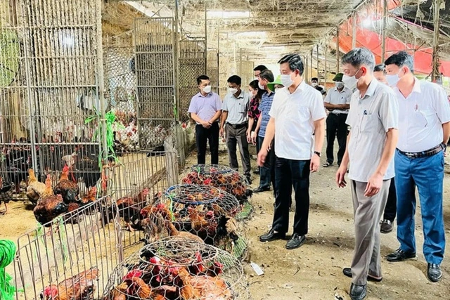 6 tháng đầu năm, Hà Nội xuất khẩu nông - lâm - thủy sản đạt 834 triệu USD - Ảnh 2