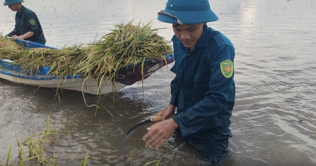 Nông dân thấp thỏm vì mưa lũ bất thường - Ảnh 2