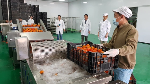 Lâm Đồng có 15 khu công nghiệp tỷ lệ lấp đầy chỉ đạt gần 50% - Ảnh 2