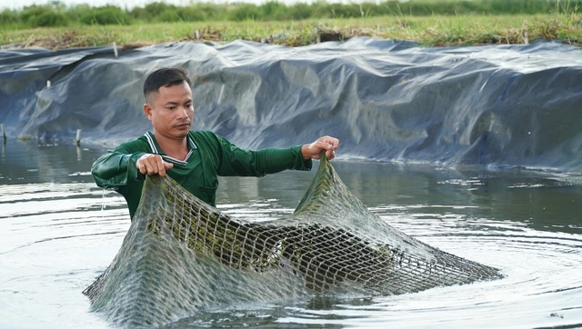 Cà Mau nhân rộng mô hình nuôi tôm tuần hoàn nước, không xả thải ra môi trường - Ảnh 3
