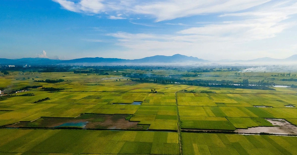 Hà Nội tập trung phát triển nông sản có tiềm năng xuất khẩu