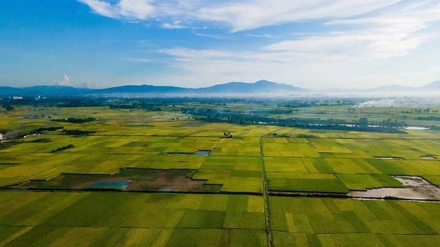 Hà Nội tập trung phát triển nông sản có tiềm năng xuất khẩu - Ảnh 1