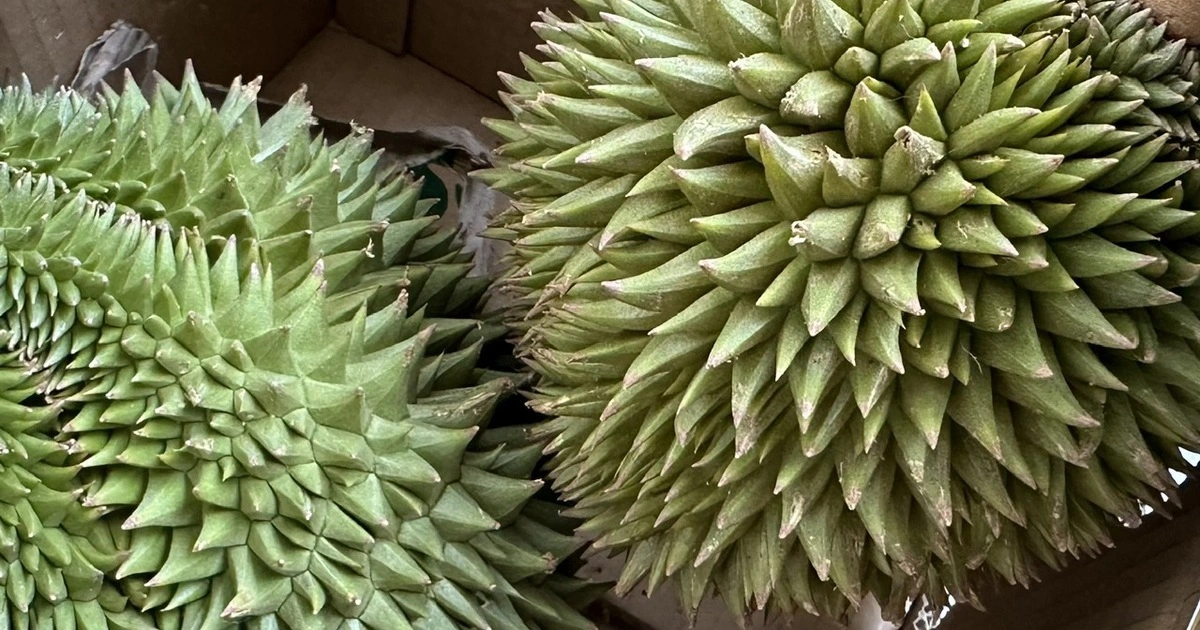 Lên lộ trình cấm thuốc trừ sâu ở Việt Nam