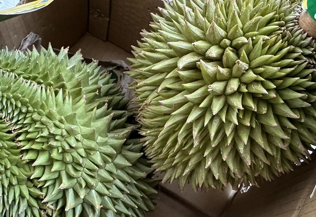 Lên lộ trình cấm thuốc trừ sâu ở Việt Nam - Ảnh 1