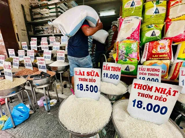 Việt Nam chi 1,5 tỉ USD nhập gạo, có đáng lo? - Ảnh 1