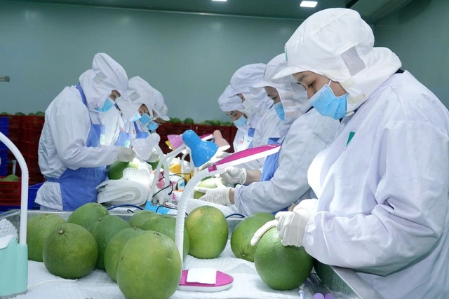 Đất nước sát cánh cùng doanh nghiệp vượt sóng gió - Ảnh 3