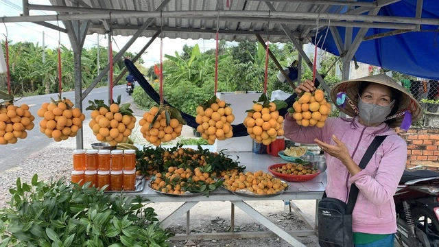 Phụ nữ tạo ra 'mùa vàng' cho nông nghiệp - Ảnh 2