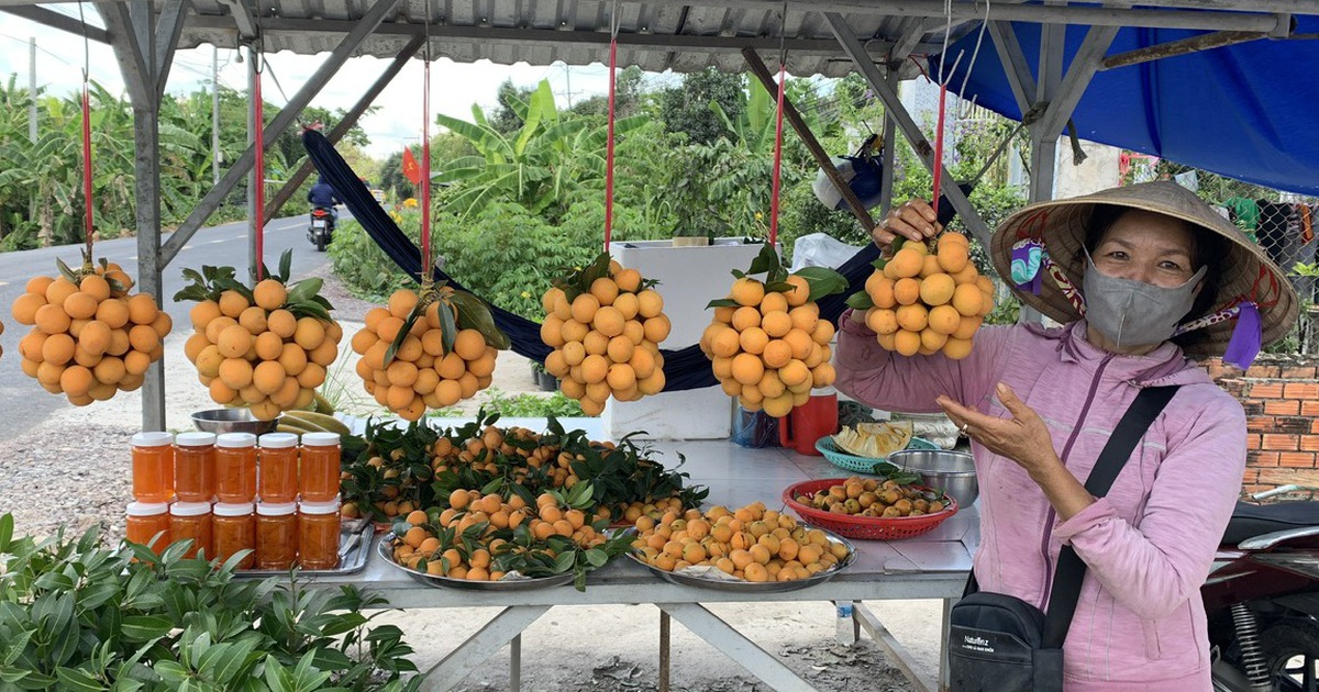 Phụ nữ tạo ra 'mùa vàng' cho nông nghiệp