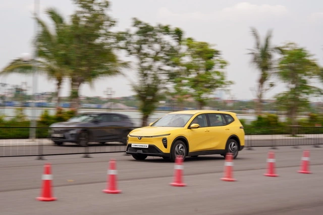 VinFast lập kỷ lục, giao hơn 100.000 xe chỉ sau 3 quý - Ảnh 2