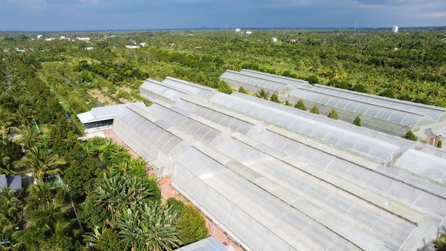 Người phụ nữ miền Tây trồng dưa lưới kết hợp làm du lịch - Ảnh 1