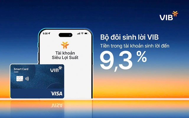 Bộ đôi Sinh Lời VIB, giải pháp tài chính tối ưu dòng tiền đến 9,3% - Ảnh 1