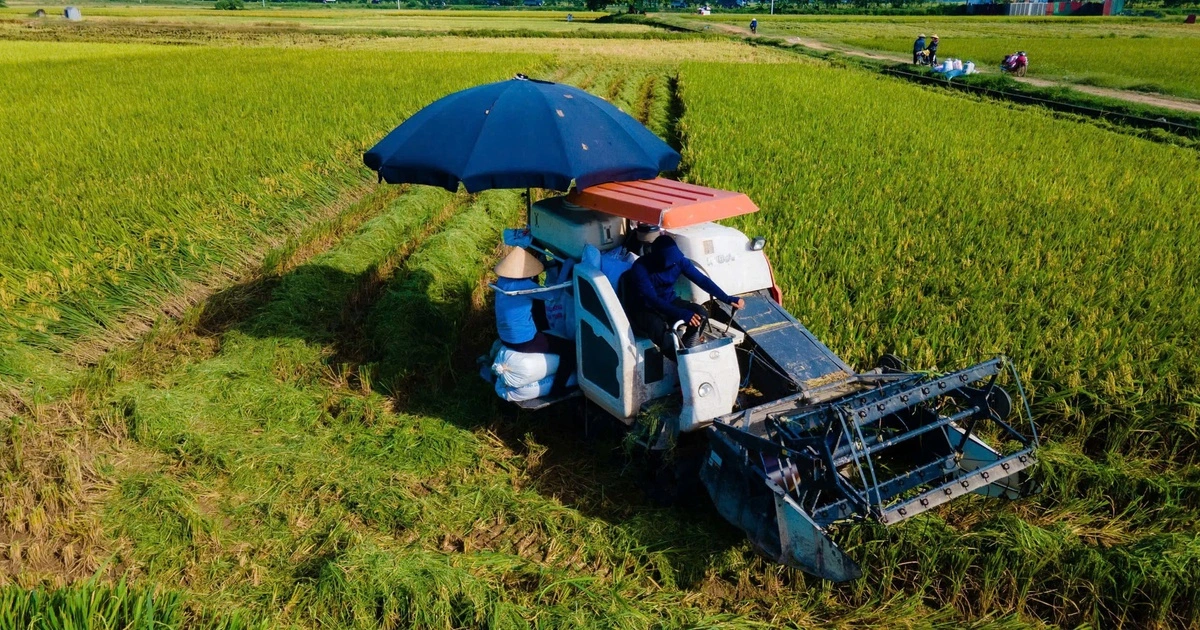 Hà Nội muốn chi gần 900 tỉ đồng/năm hỗ trợ chính sách phát triển nông nghiệp, nông thôn