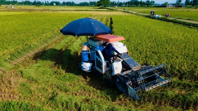 Hà Nội muốn chi gần 900 tỉ đồng/năm hỗ trợ chính sách phát triển nông nghiệp, nông thôn - Ảnh 2