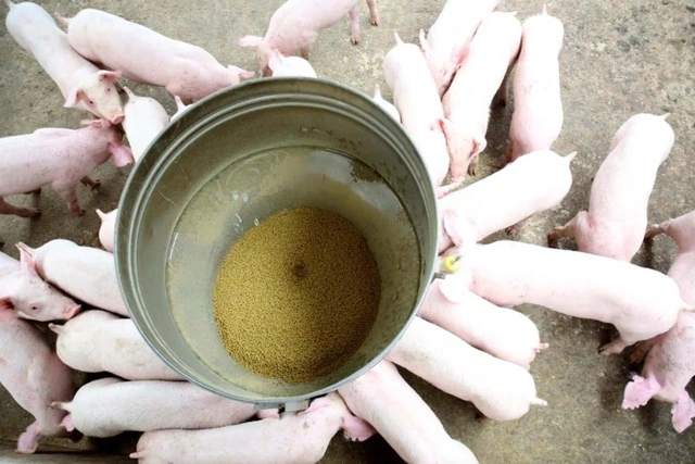 Hà Nội muốn chi gần 900 tỉ đồng/năm hỗ trợ chính sách phát triển nông nghiệp, nông thôn - Ảnh 1