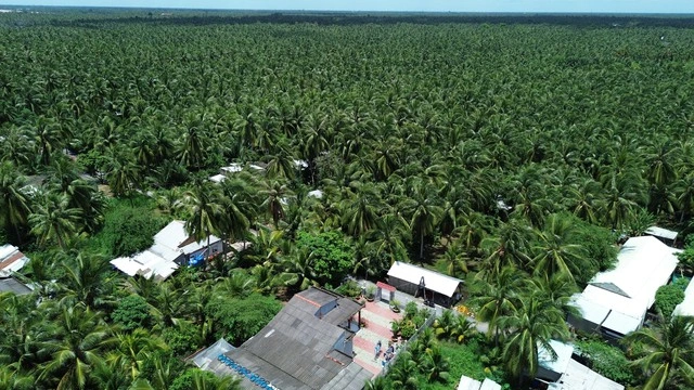 Xây dựng Vĩnh Long thành trung tâm kinh tế, năng lượng xanh của cả nước - Ảnh 4