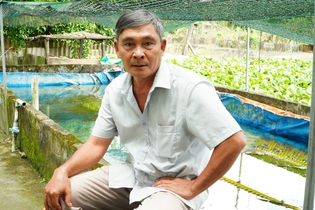 Làm giàu từ mô hình nuôi ba ba kết hợp trồng lúa và sầu riêng - Ảnh 1