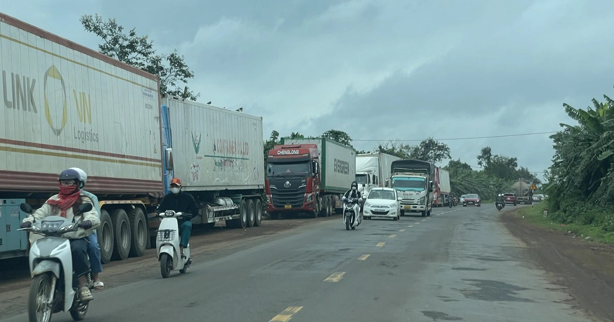 Phòng xét nghiệm hoạt động trở lại, tháo gỡ ùn ứ gần 2.000 container sầu riêng