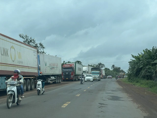 Phòng xét nghiệm hoạt động trở lại, tháo gỡ ùn ứ gần 2.000 container sầu riêng - Ảnh 1