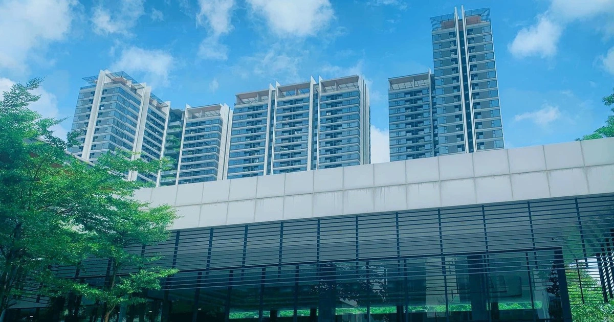 Giá căn hộ TP.HCM tiếp tục tăng mạnh