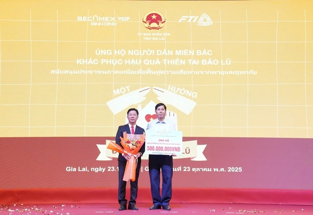 Becamex khởi động hàng loạt dự án tại Gia Lai - Ảnh 3