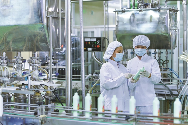 SCC xuất khẩu mỹ phẩm sang châu Âu - Ảnh 1