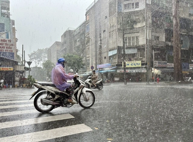 Cảnh báo mưa lớn cộng triều cường cao gây ngập ở TP.HCM và Nam bộ - Ảnh 2