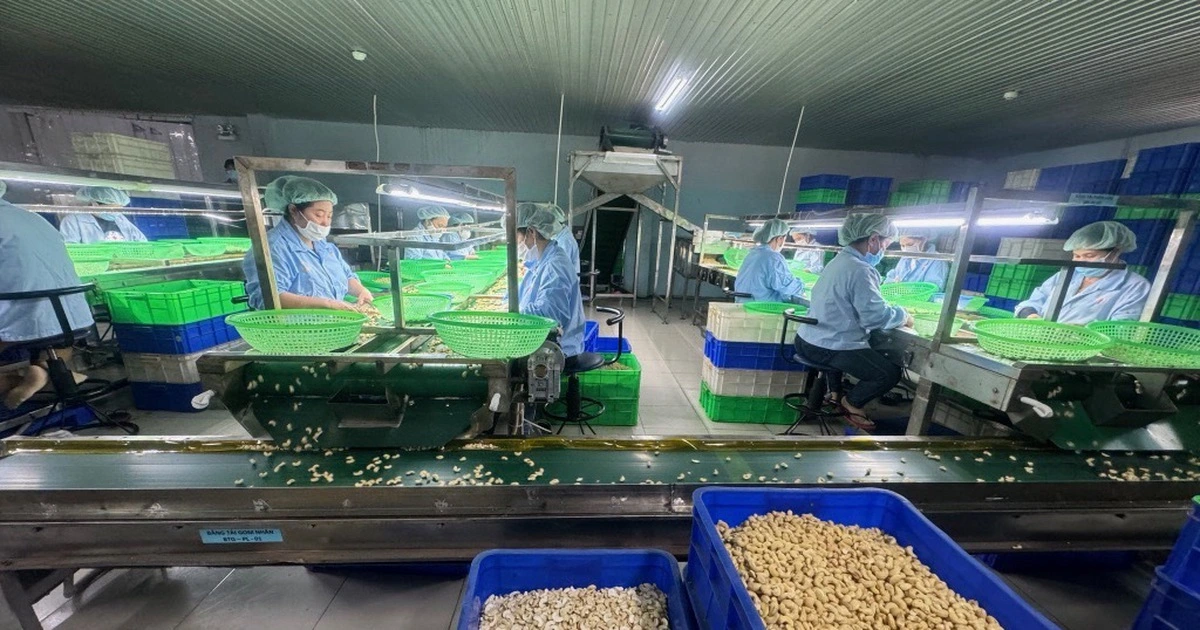 Những quy định tréo ngoe chờ tháo gỡ