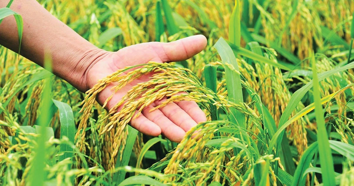 Nông nghiệp hút nhiều tỉ phú