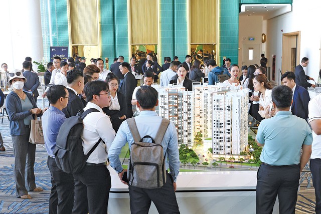 Căn hộ 4 hồ bơi trên đại lộ ‘vàng’ Lê Khả Phiêu - Ảnh 2