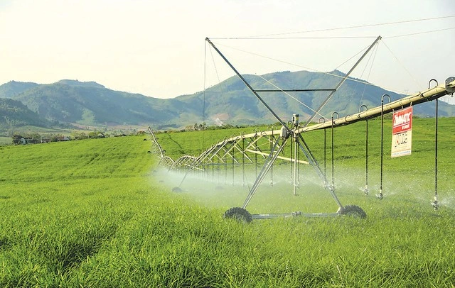 Nông nghiệp hút nhiều tỉ phú - Ảnh 3