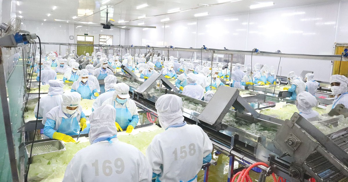 GC Food chọn lối đi bền vững để vươn ra toàn cầu