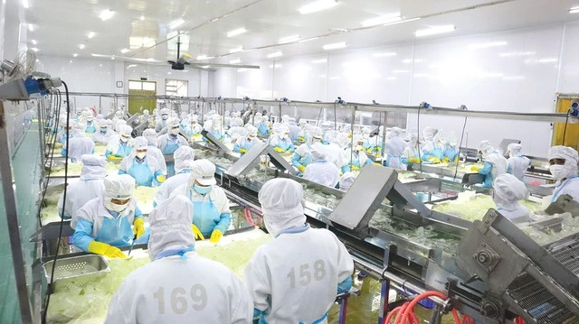 GC Food chọn lối đi bền vững để vươn ra toàn cầu - Ảnh 1