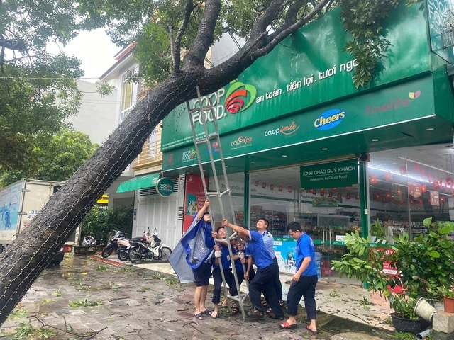 Saigon Co.op giảm giá thực phẩm đến 33% để san sẻ cùng người dân trong bão số 10 - Ảnh 6