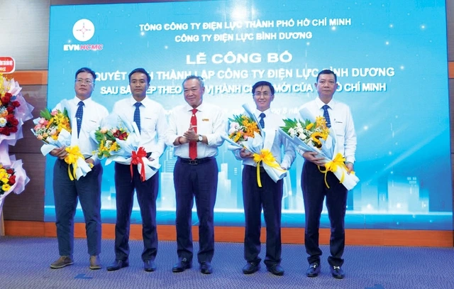 Ngành điện TP.HCM tăng tốc ổn định sau sáp nhập - Ảnh 1